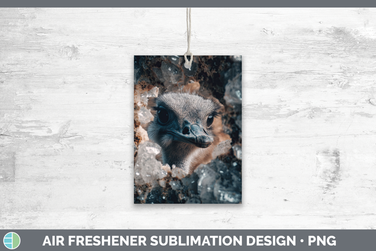 Farm Geode Ostrich Air Freshener Sublimation Car Freshener D