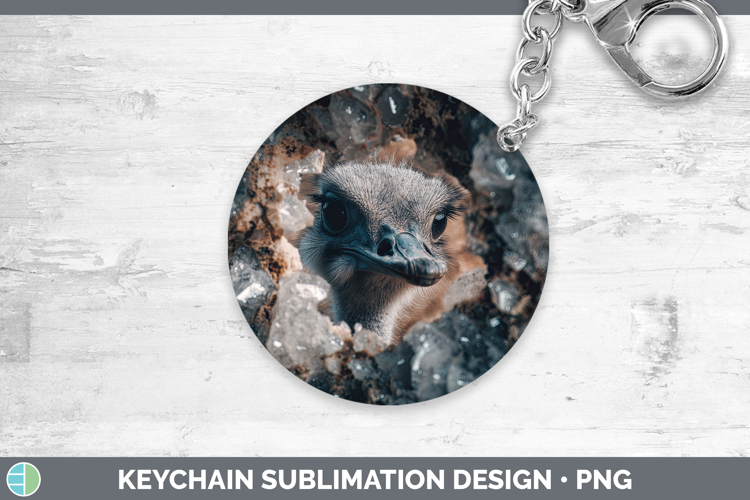 Farm Geode Ostrich Keychain Sublimation Keyring Designs