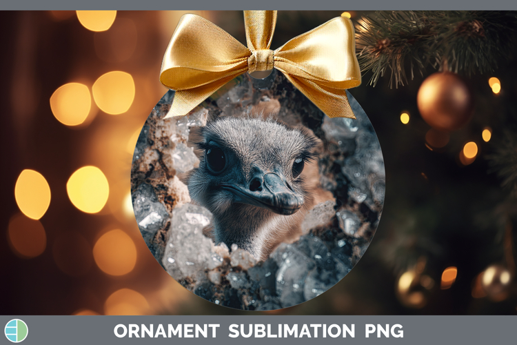 Ornament Clipart Image 6