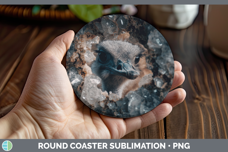Farm Geode Ostrich Round Coaster Sublimation Coaster Designs