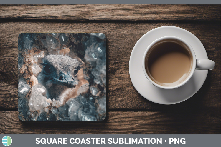 Farm Geode Ostrich Square Coaster Sublimation Coaster Design