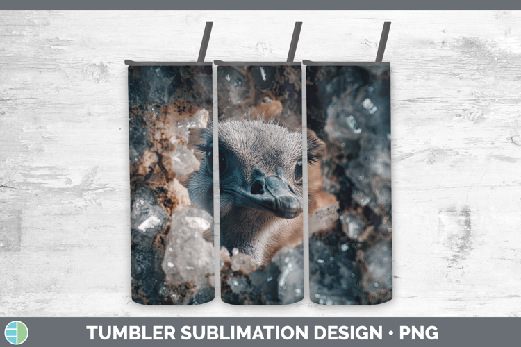 Sublimation Tumbler Designs