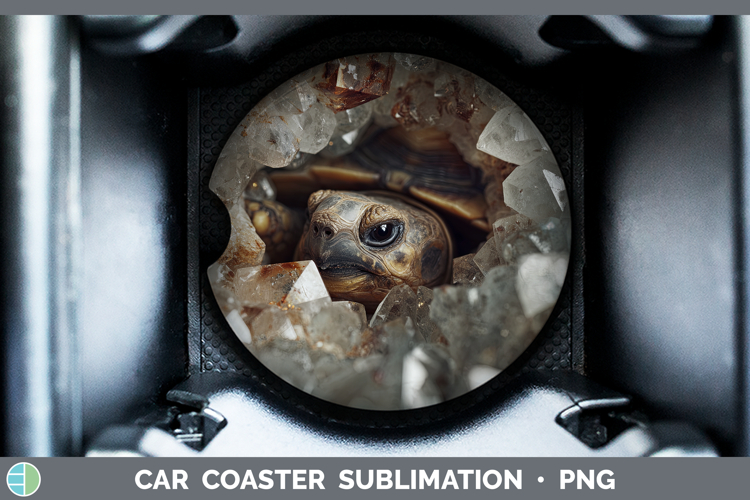 Tortoise Clipart Image 2