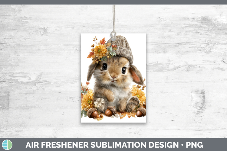 Bunny Clipart Image 17