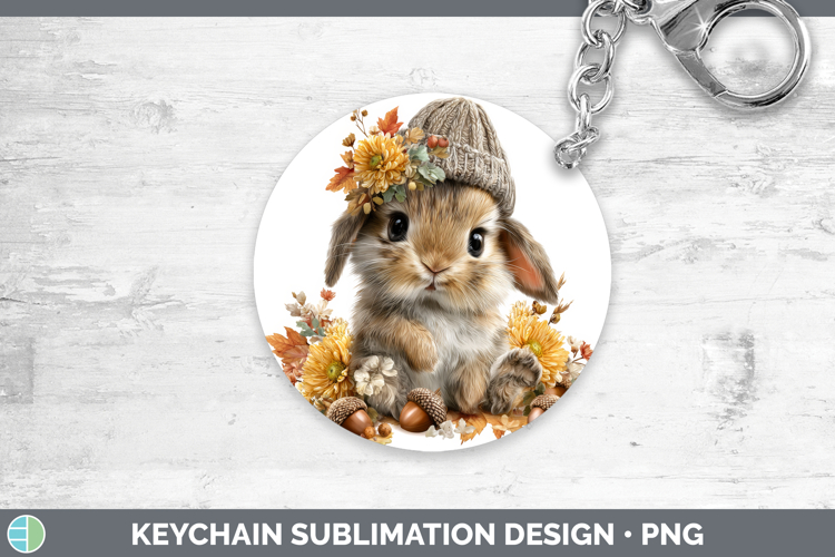 Bunny Clipart Image 16