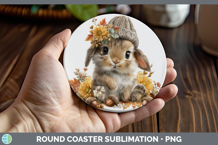 Bunny Clipart Image 12