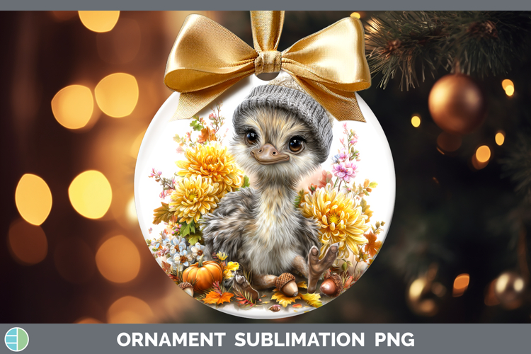 Ostrich Ornament Farm Knit Hat Sublimation Bauble Designs