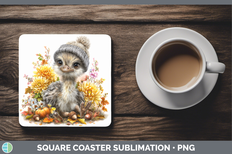 Ostrich Square Coaster Farm Knit Hat Sublimation Coaster Des