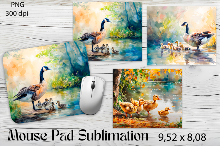 Ducks Clipart Image 6