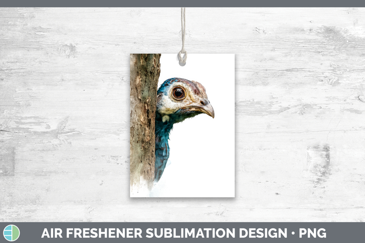 Hen Clipart Image 8