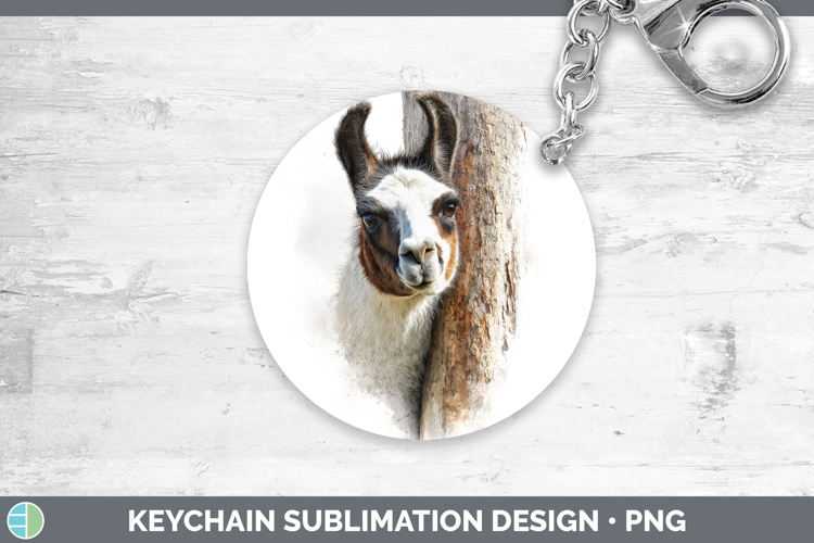 Llama Clipart Image 11