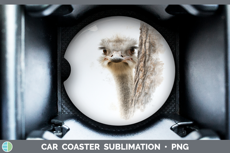 Ostrich Farm Tree Peek Car Coaster Sublimation Design