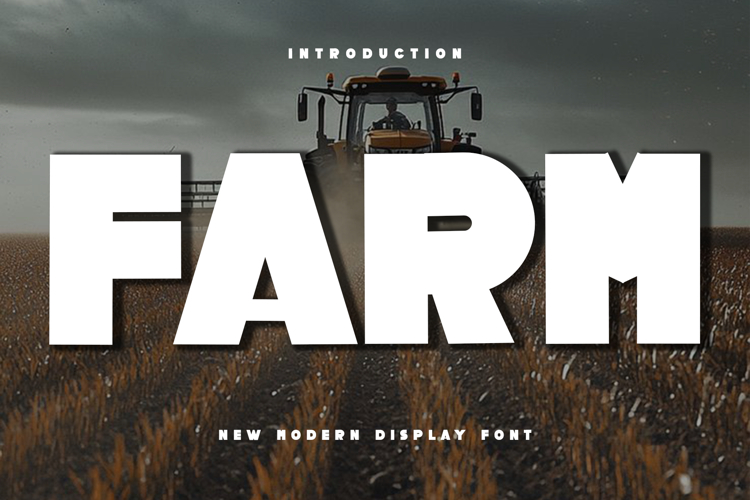 Business Fonts Image 14