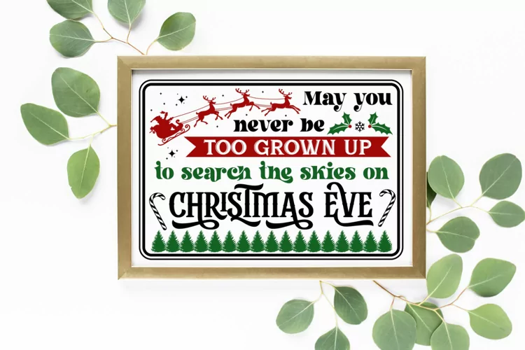May you never be too grown up to search the skies on christm