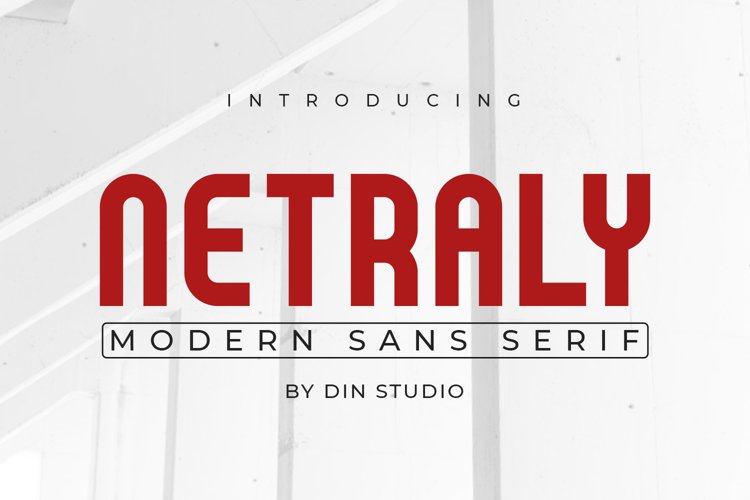 Netraly-Modern Sans Serif Font example image 1