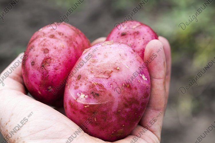 Grow Clipart Image 8
