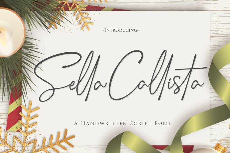 Sella Callista A Handwritten Script Font example image 1