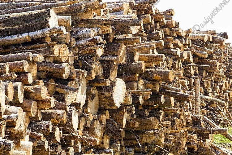 Wood Clipart Image 13