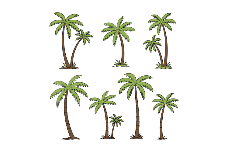 Palm Leaf Vector Image 5
