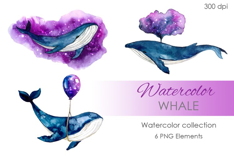 Digital Clipart. Watercolor Whale clipart. Hand painted example image 1