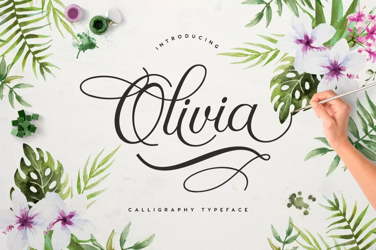 Olivia Script - Font Download