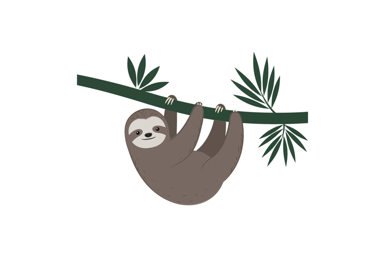 Sloth Clipart Image 22