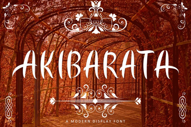 AKIBARATA example image 1
