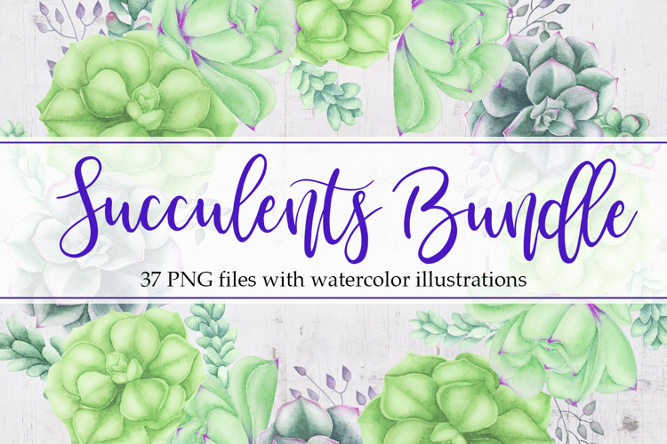 Succulents Bundle