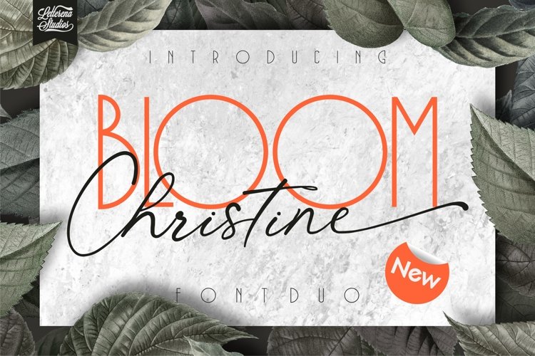 BLOOM Christine - Sans Serif and Signature Font example image 1