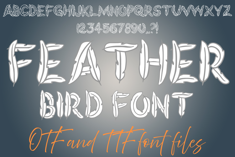 Feather Bird Alphabet Lettering ABC Text Font Wings Typeface