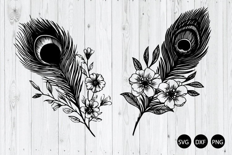 Feather PNG