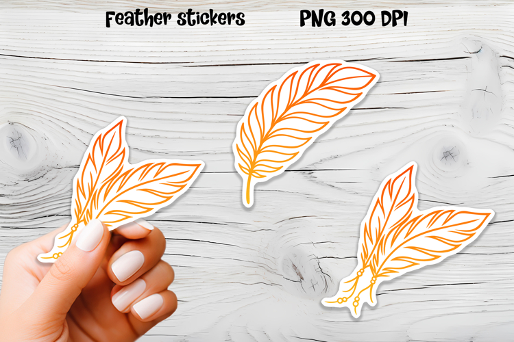 Feather Clipart Image 7