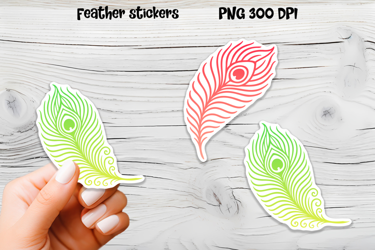Feather Clipart Image 24