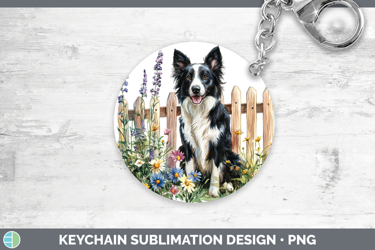 Border Collie Clipart Image 22
