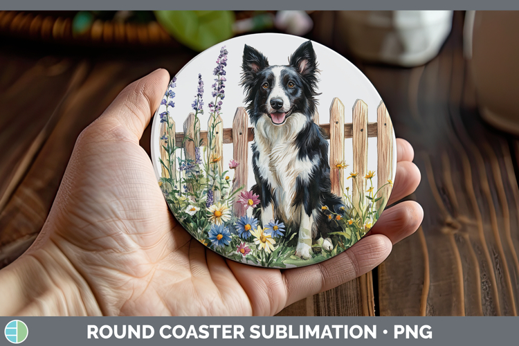Border Collie Clipart Image 18