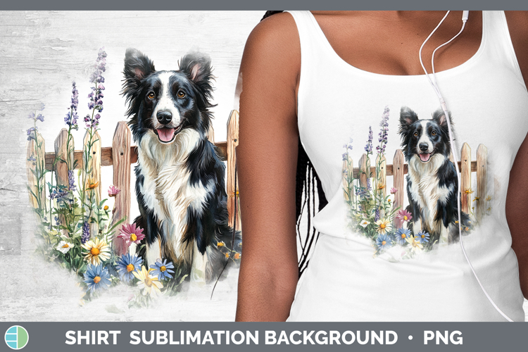 Border Collie Clipart Image 15