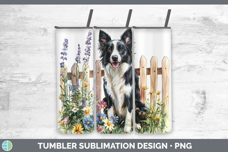 Border Collie Clipart Image 12
