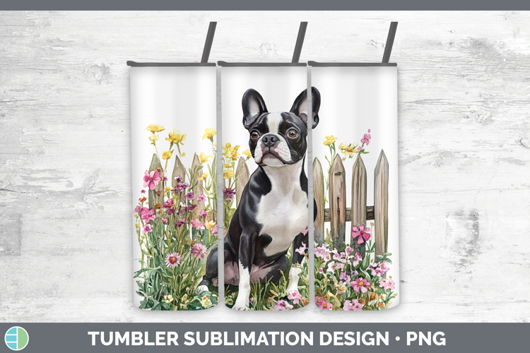 Boston Terrier Clipart Image 19