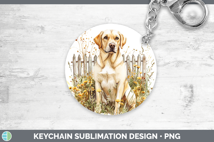 Labrador Clipart