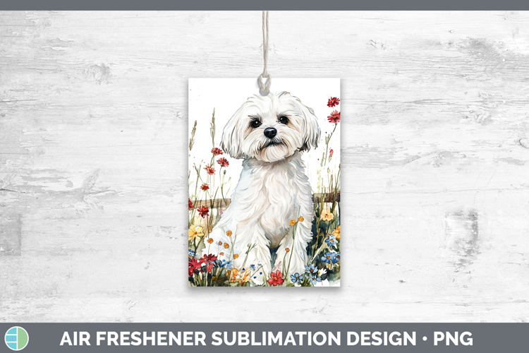 Maltese Clipart Image 4