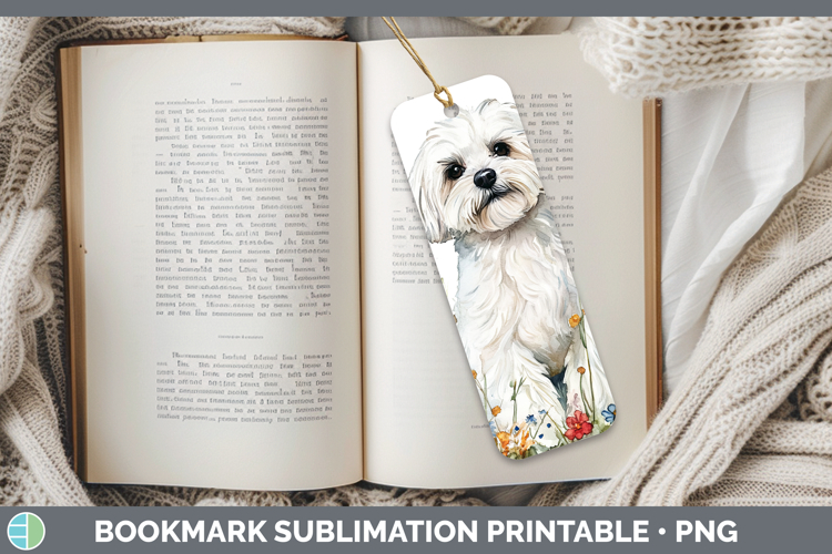 Maltese Clipart Image 3