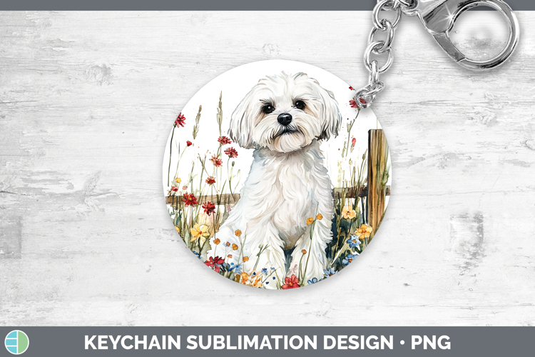 Maltese Clipart Image 2