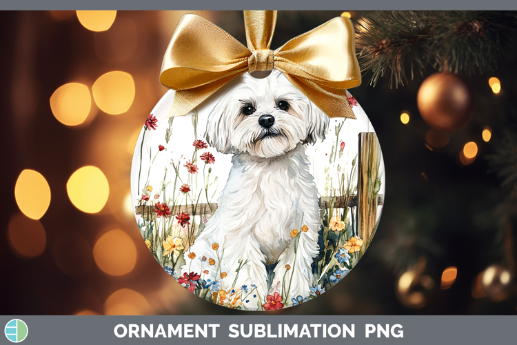 Maltese Clipart Image 24