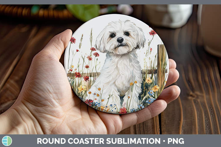 Maltese Clipart Image 22