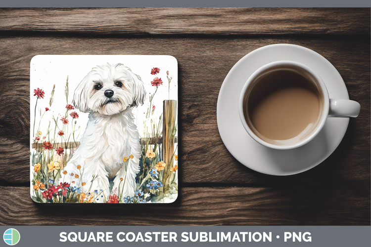 Maltese Clipart Image 18