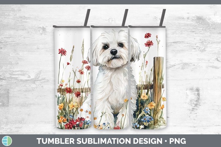 Maltese Clipart Image 16