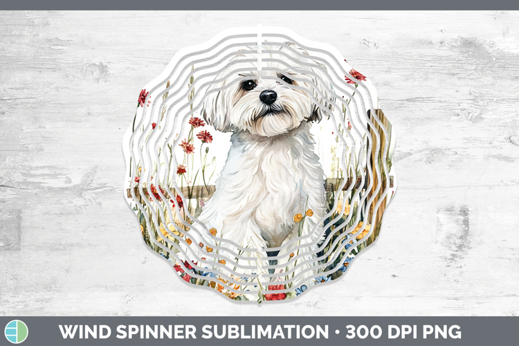 Maltese Clipart Image 15