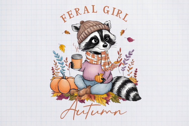Raccoon Clipart Image 18