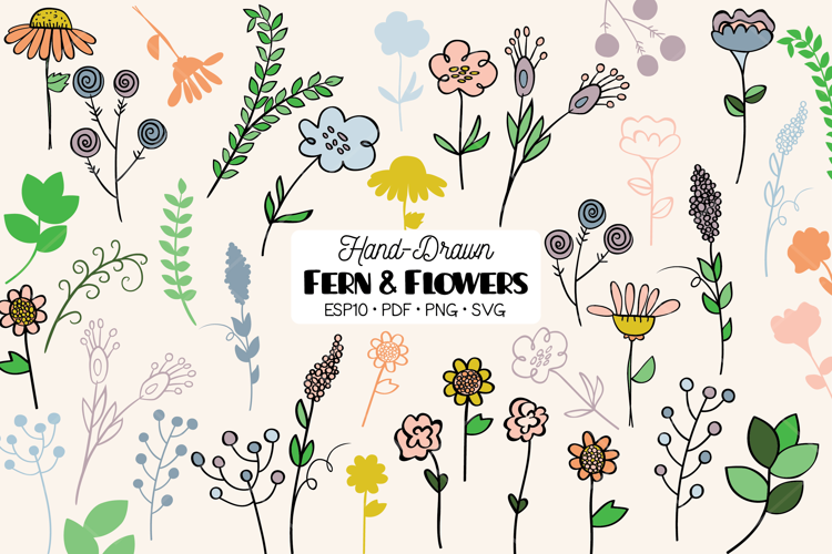 Meadow Ferns & Wild Flowers | Color Hand Drawn Leaves, Plant