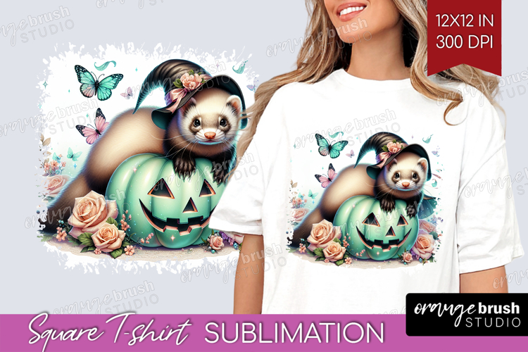 Ferret Clipart Image 11